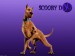 Scooby-Doo-5-1280x960